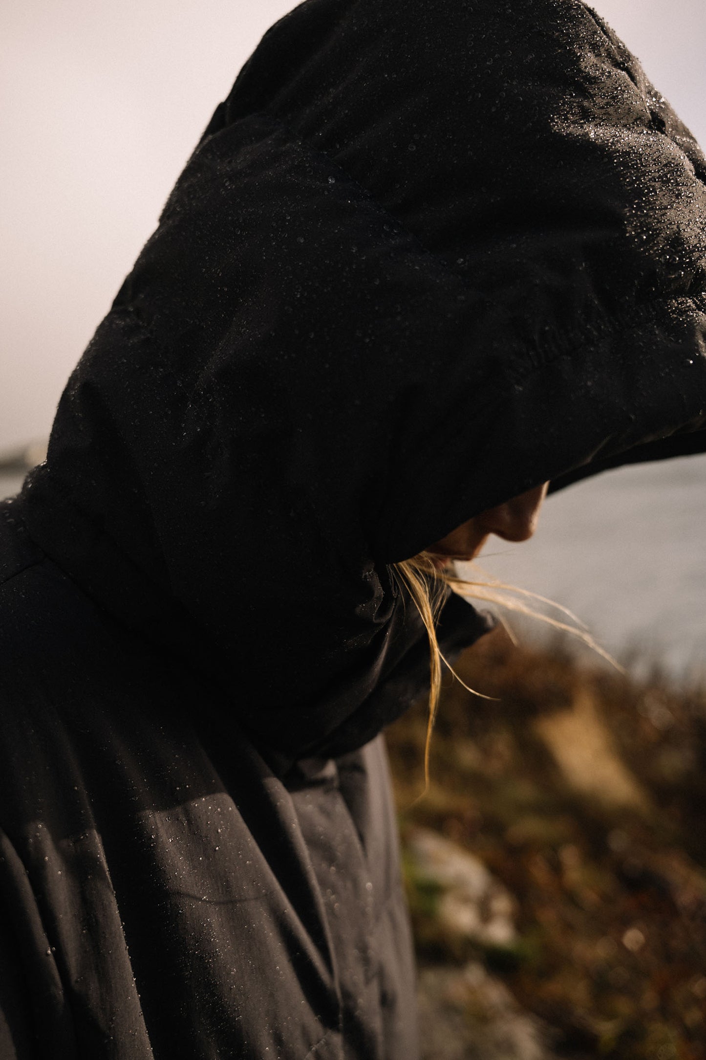 Tundra — Carbon