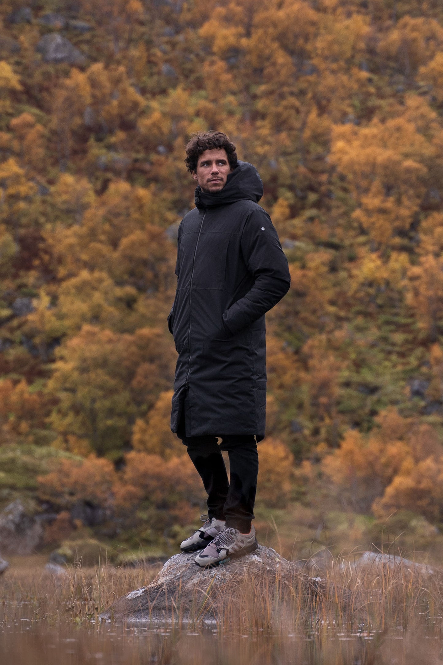 Park II — Dark Olive