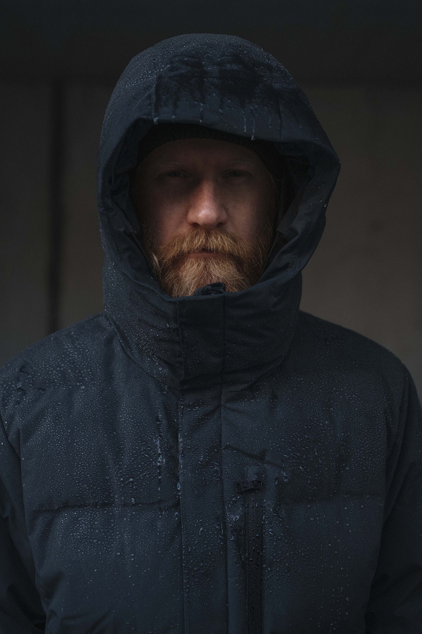 Radian — Nordic Forest